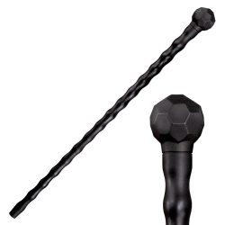 African Walking Stick African Walking Stick